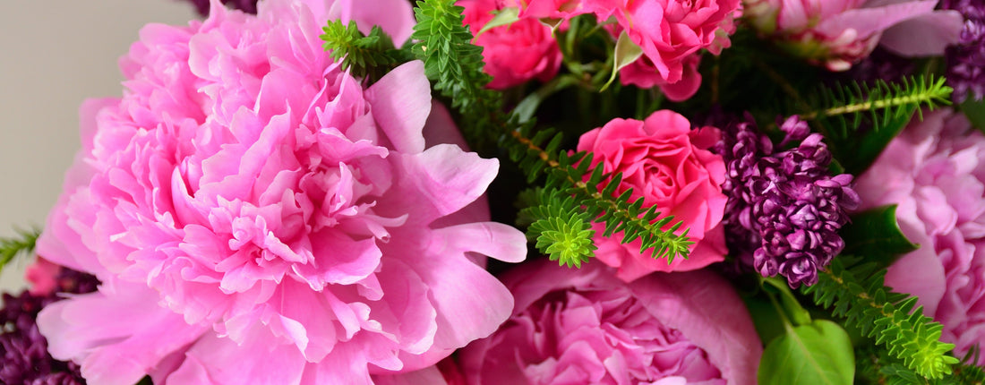 Peony Passion