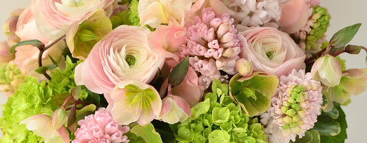 It's Springtime!