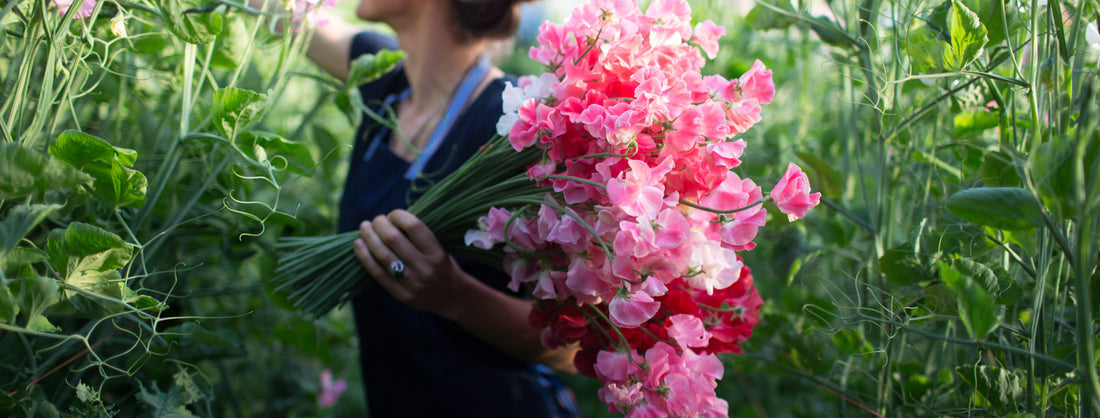 April 2015 Flower of the Month