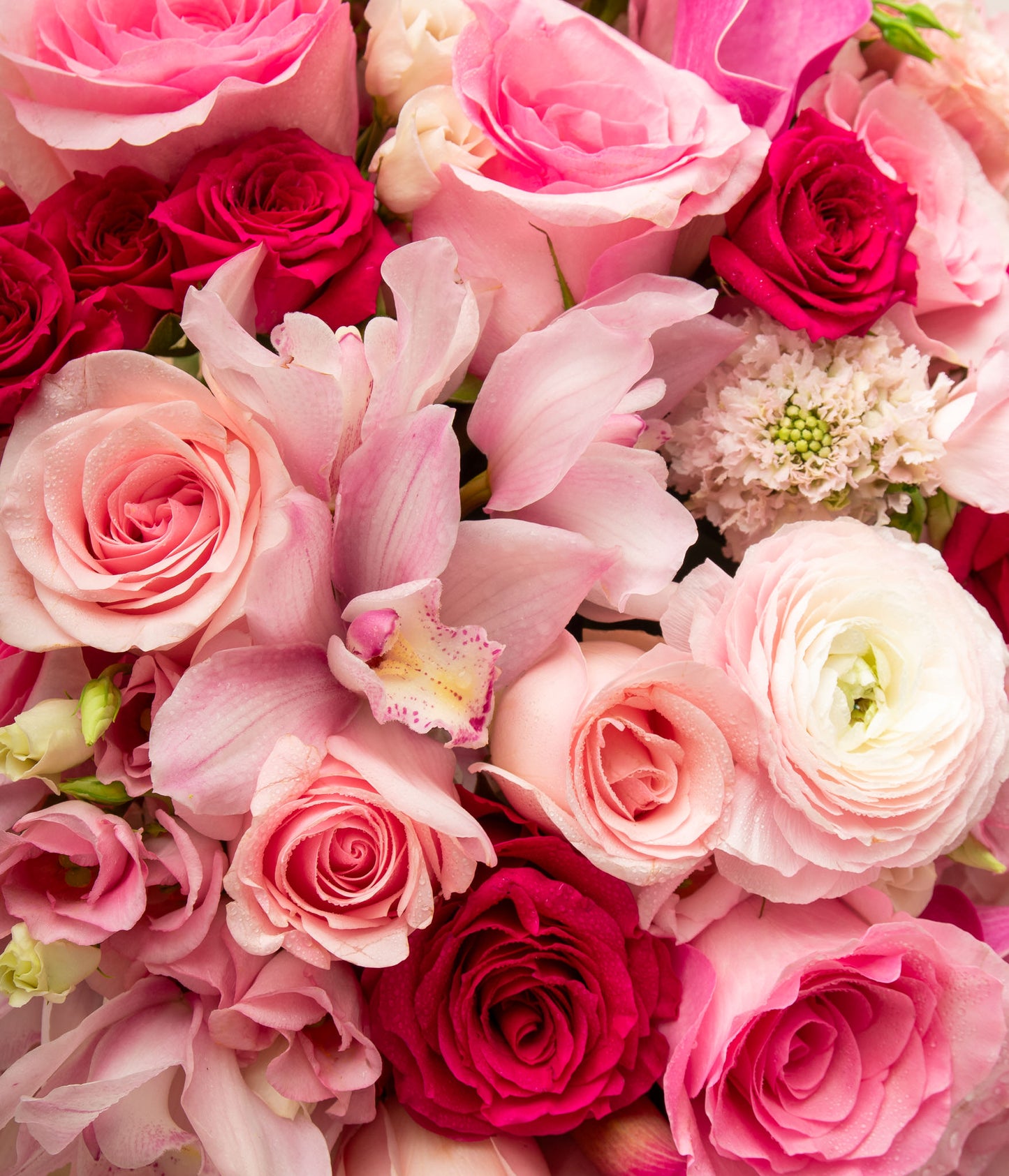 Designer's Choice - Blush & Pinks