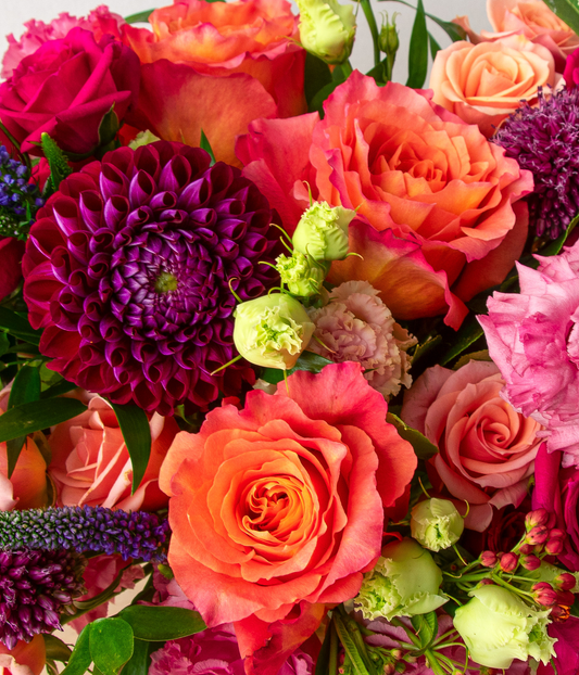 Designer's Choice - Late Summer Mix with Dahlias